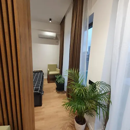 Constantin Penthouse * Craiova