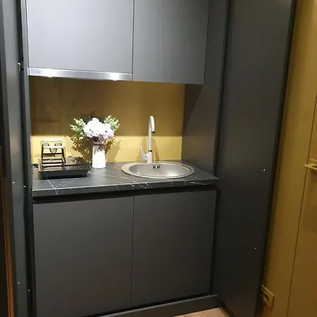 Apartament Constantin Penthouse *