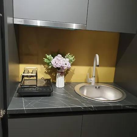 Apartament Constantin Penthouse *