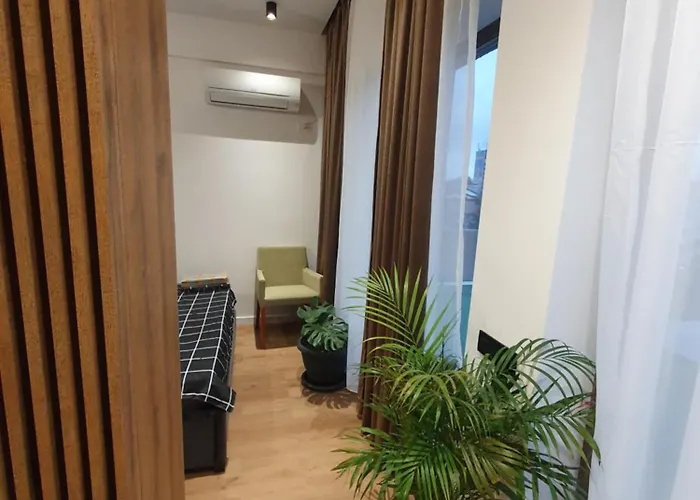 Constantin Penthouse * Craiova