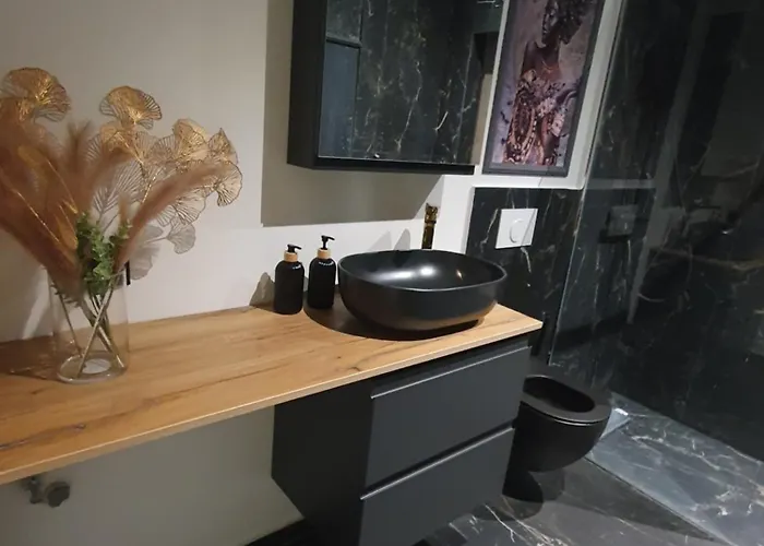 Constantin Penthouse * Craiova