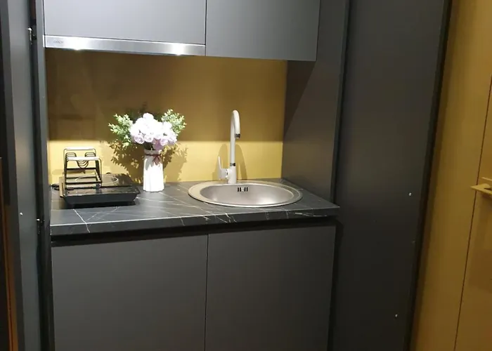 Apartamento Constantin Penthouse *